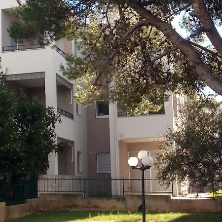 Apartman Marinero Brodarica  Zewnętrze zdjęcie